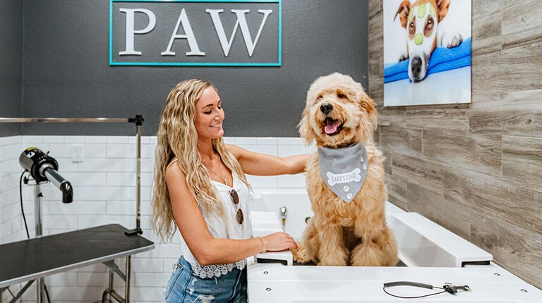 Pet spa