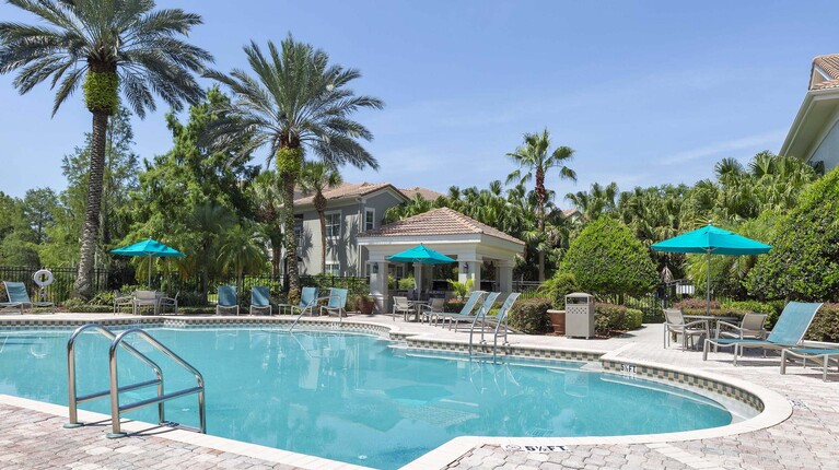 Resort-Inspired Swimming Pool