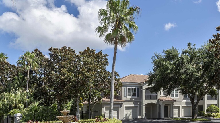 Palm trees and lush greenery throughout